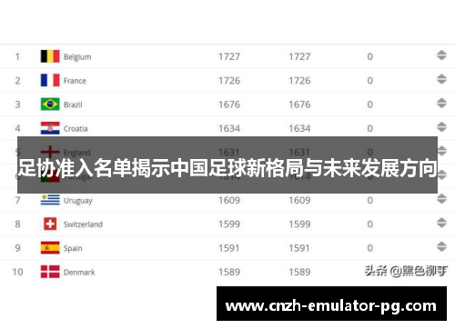 足协准入名单揭示中国足球新格局与未来发展方向