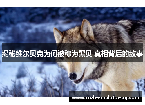 揭秘维尔贝克为何被称为黑贝 真相背后的故事 揭秘维尔贝克为何被称为黑贝 真相背后的故事