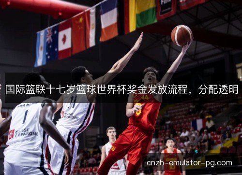 国际篮联十七岁篮球世界杯奖金发放流程，分配透明